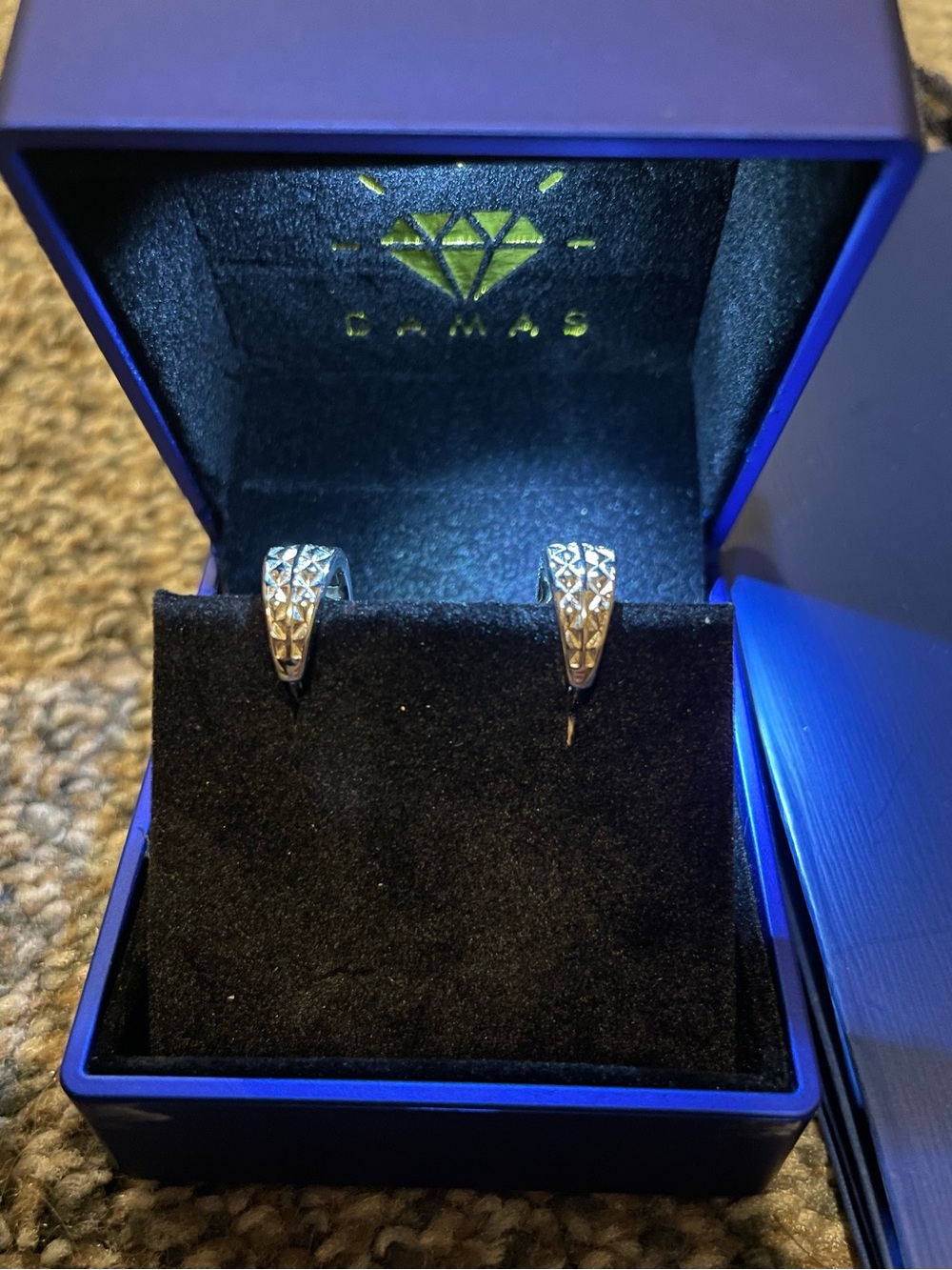 Damas Bijouterie - Faceted Silver Hoop Earrings - NEW